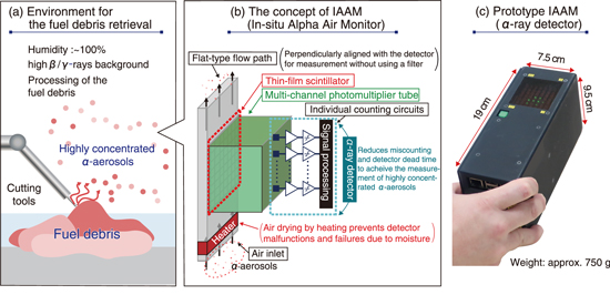 Size Dependence of Liquid–Liquid Phase Separation by in Situ Study of  Flowing Submicron Aerosol Particles