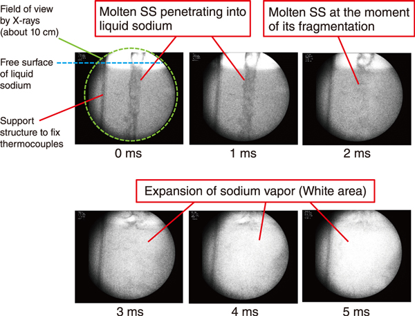 Fig.2  X-ray images of molten stainless steel (SS) penetrating into liquid sodium