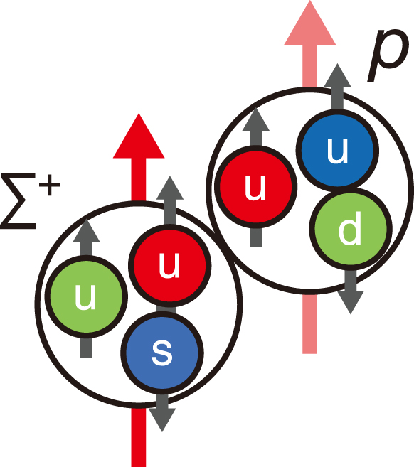 Fig.1  Schematic of the spin-aligned state of a particle and a proton