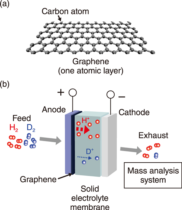 Fig.1  (a) Graphene and (b) a schematic illustration of the evaluation of the ability of graphene to separate hydrogen (H) / deuterium (D) using electrochemical method