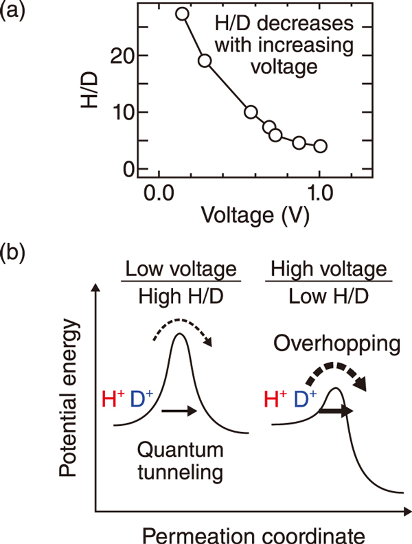 Fig.2  (a) H/D separation ability vs. voltage. (b) schematic of ion transfer through the graphene at different voltages