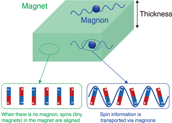 Fig.1  Schematic picture of magnons inside magnets