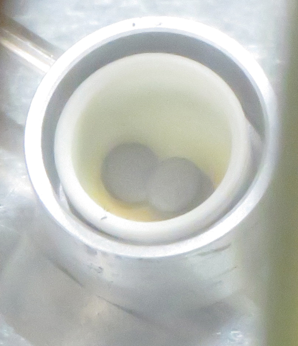 Fig.3  NpPd3 sample obtained by the reaction of neptunium nitride with Pd