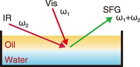 Fig.1  Vibrational sum frequency generation (VSFG) spectroscopy measurement