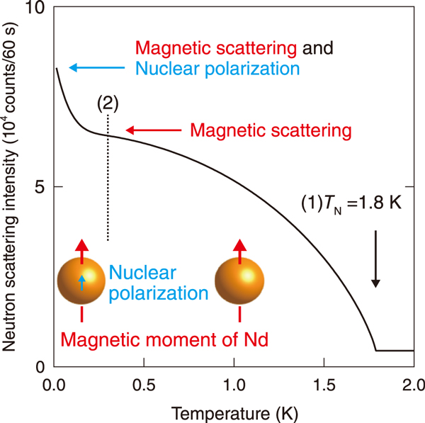 Fig.1  Temperature dependence of neutron scattering intensity