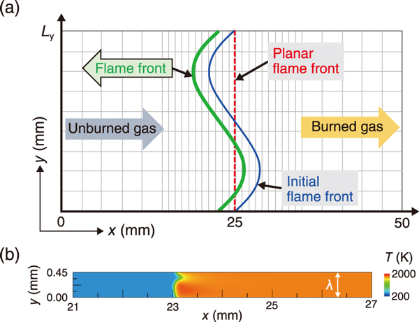 Fig.2  (a) Computational domain and initial flame front position for two-dimensional simulations and (b) temperature distribution of the flame front at 0.5 MPa, 473 K, and 5 ms (<i>L</i><sub>y</sub> = λ, where <i>L</i><sub>y</sub> is the y-axis coordinate and λ is the wavelength of the initial flame front)