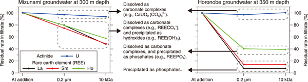 Fig.2  Residual rate of dissolved trace elements in the filtrate