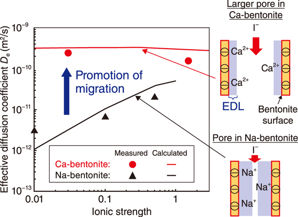 Fig.2  Measured <i>D</i><sub>e</sub> of <sup>125</sup>I<sup>-</sup> in Na- and Ca-bentonite (dry density = 0.8 Mg/m3) and evaluation by a diffusion model