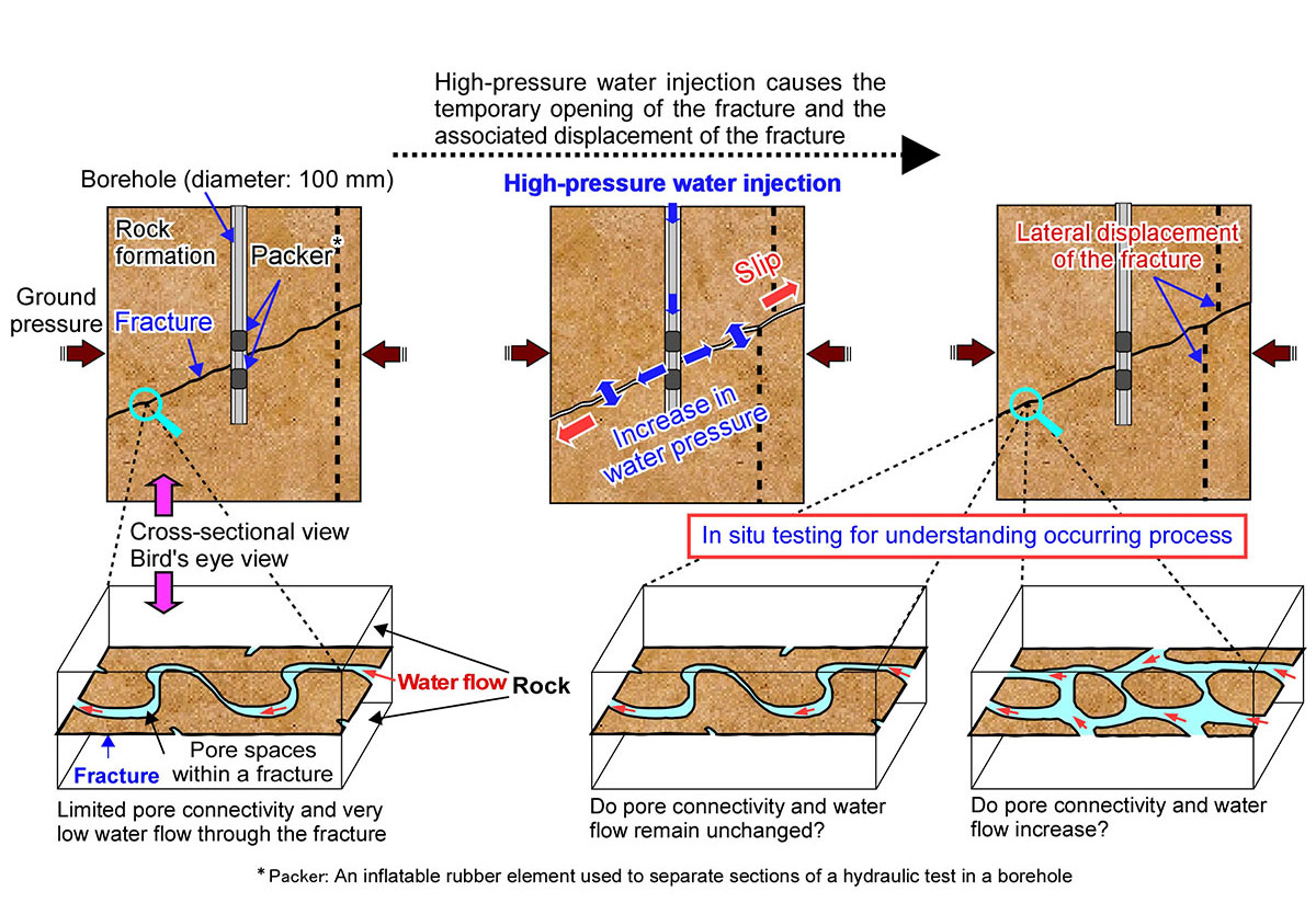 Fig.1  Schematic of the study