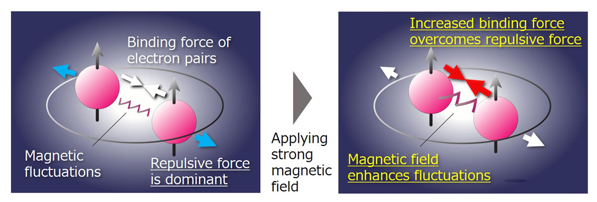 Fig.1 Mechanism underlying the realization of high upper critical fields in uranium superconductor UTe2