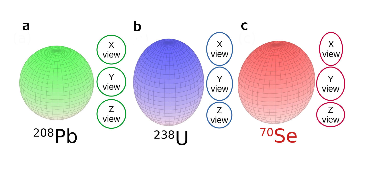 Fig.1 Shapes of nucleus