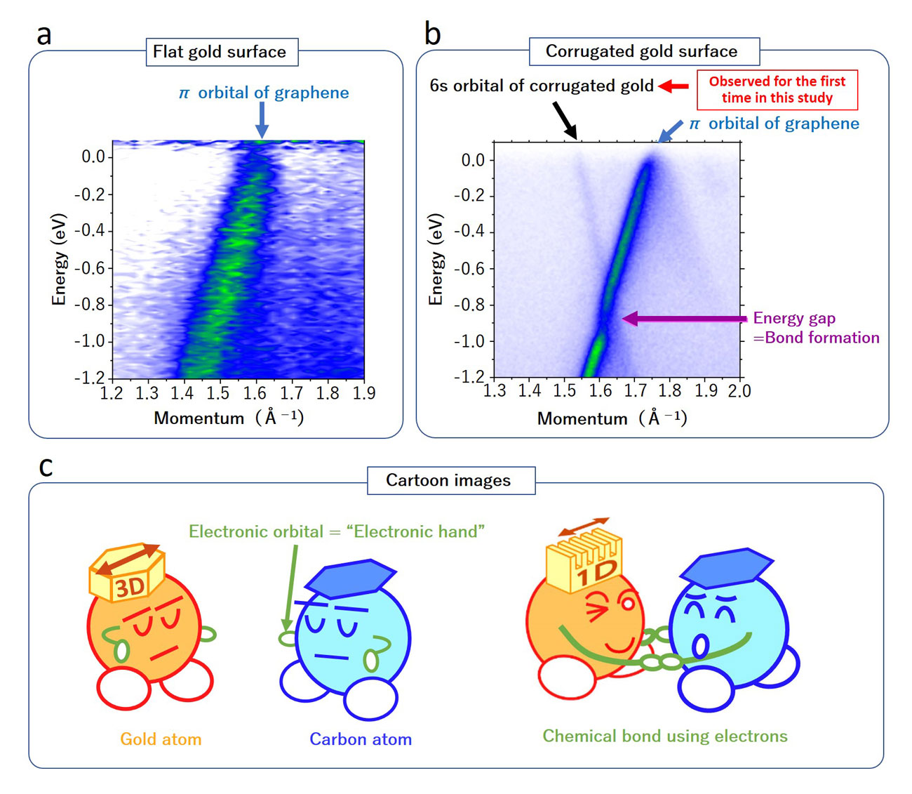 Fig.1  (a) Energy-momentum relationship of electronic orbitals of graphene and (b) gold revealed by angle-resolved photoemission spectroscopy and (c) its cartoon images