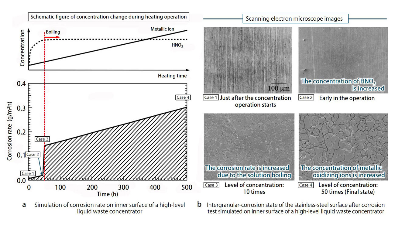 Fig.1 Reproduction of stainless steel corrosion on the inner surface of a high-level liquid waste concentrator in spent nuclear fuel reprocessing process