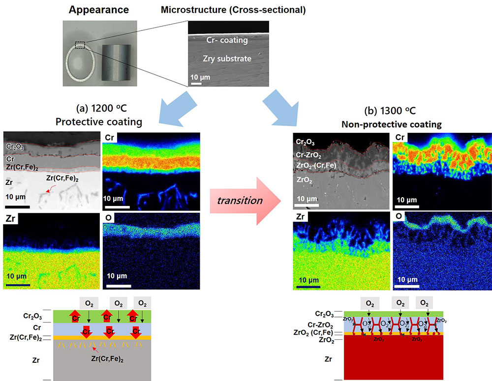 Fig.1 Microstructural changes in Cr-coated Zry cladding under accident conditions