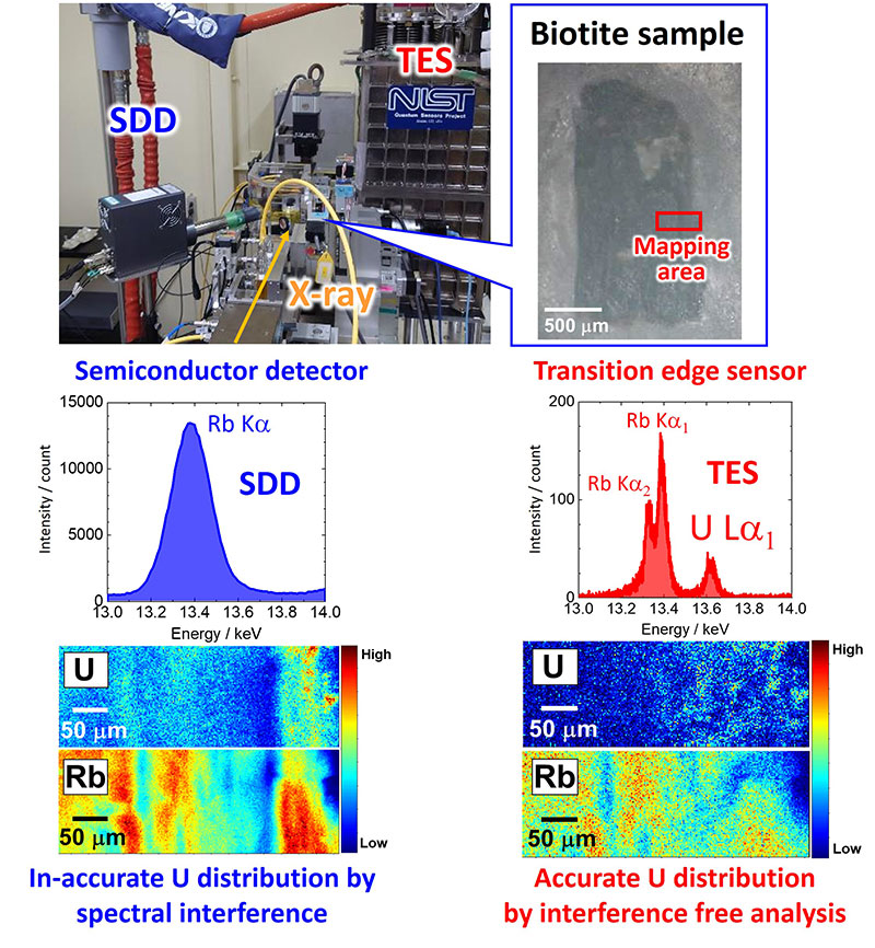 Fig.1 Spot and mapping analysis of a biotite sample recorded using a conventional silicon drift detector and transition edge sensor