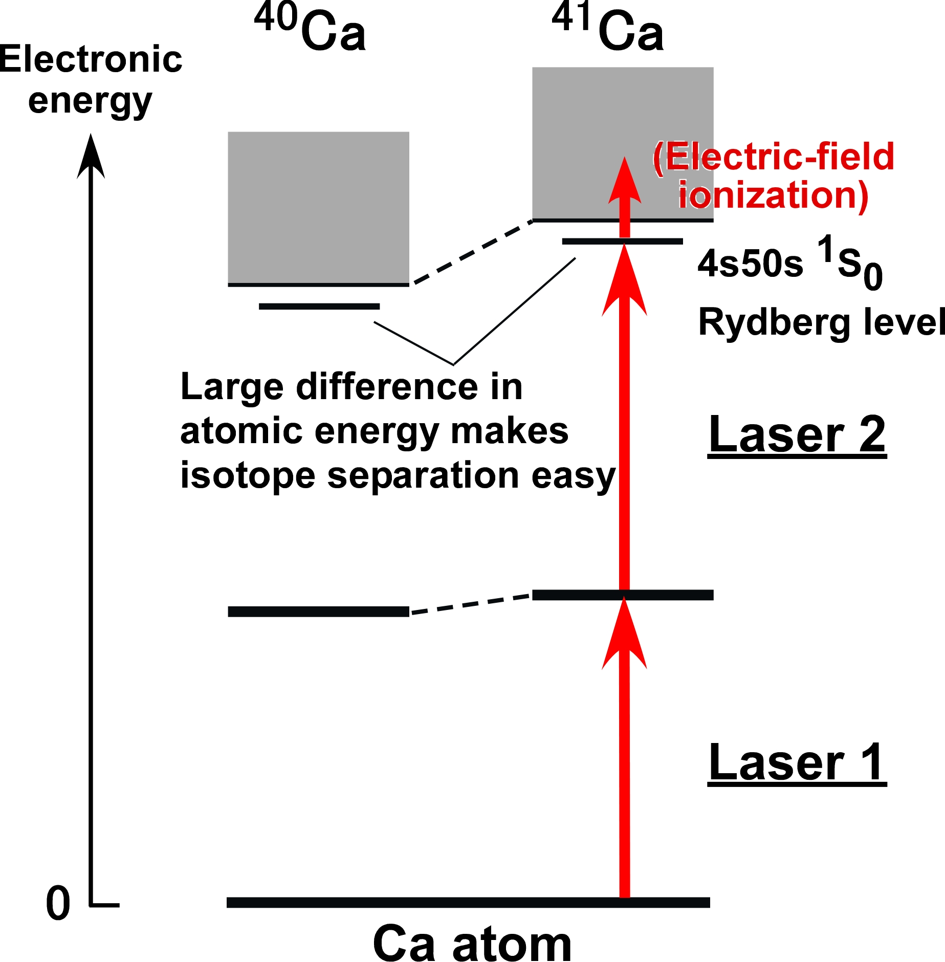 Fig.1 Selective ionization of 41Ca atoms by two-color, two-step excitation using lasers