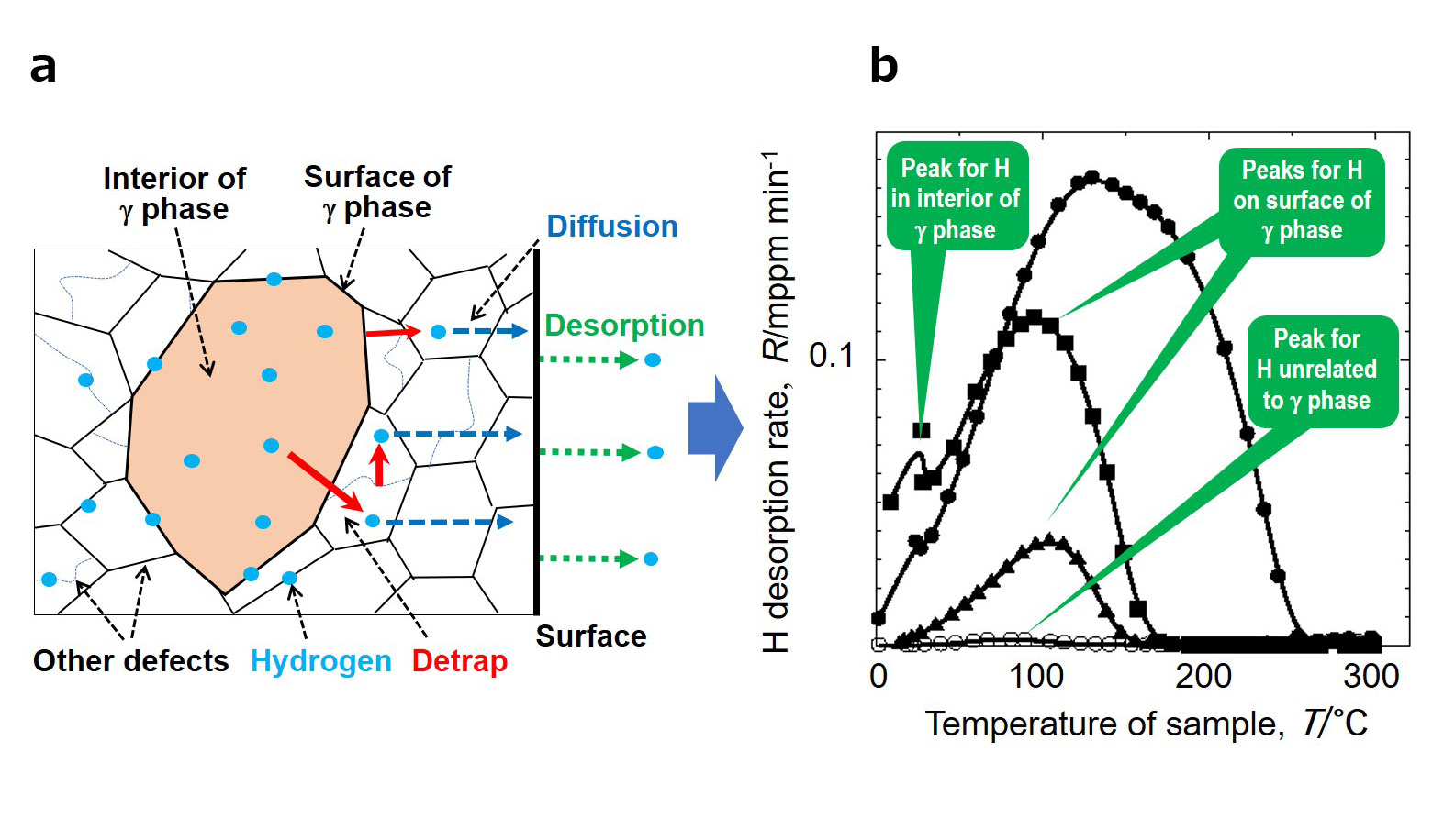 Fig.1 Schematic of hydrogen trapping states associated with γ-phase and other defects and desorption and hydrogen desorption behavior (a) and interpretation of the hydrogen thermal desorption spectra of a steel sample containing γ-phase based on numerical simulations (b)