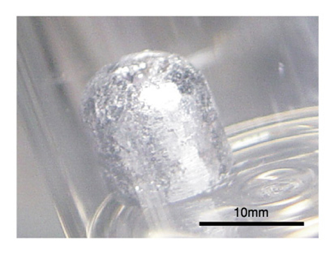 図7-10　電解精製後の液体カドミウム陰極