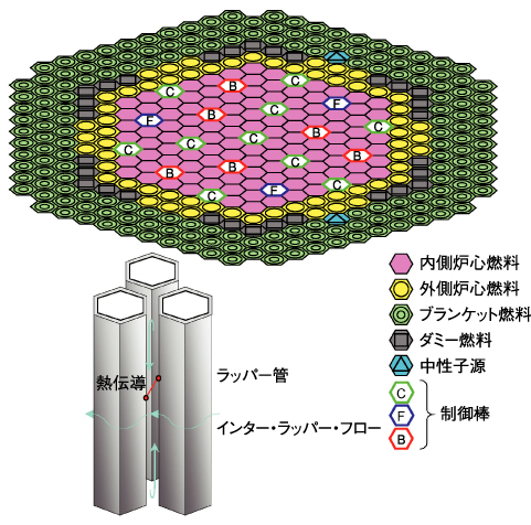 図1-10　「もんじゅ」炉心と集合体間熱移行モデル