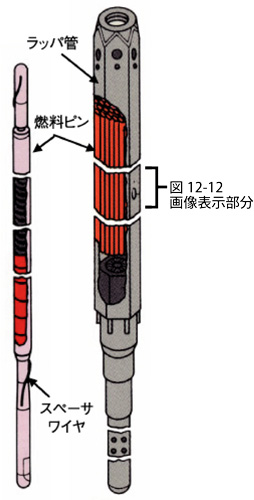 図12-11　高速炉燃料集合体の概略図