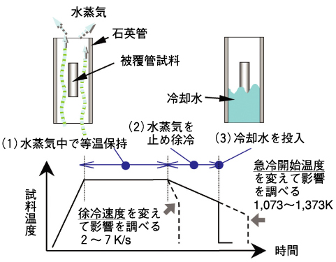 図5-7　LOCA条件を模擬した被覆管酸化・急冷試験