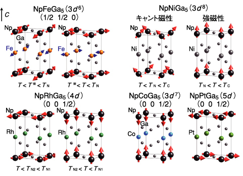 図6-3　NpTGa5で実現する多彩な磁気構造