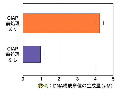 図7-18　SVPDによるDNA切断末端からのDNA構成単位の切出し量