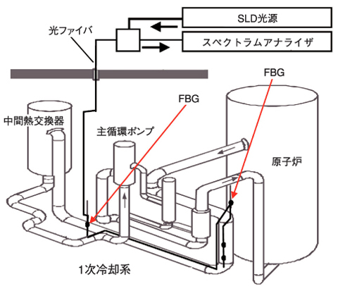 図14-11　「常陽」の1次冷却系と光ファイバを用いた変位・振動測定のための装置
