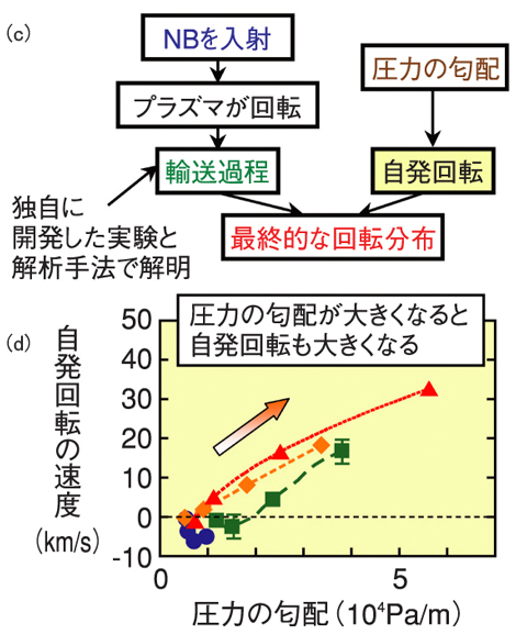 図3-5　（c）回転分布の決定機構 （d）プラズマ圧力と自発回転の関係