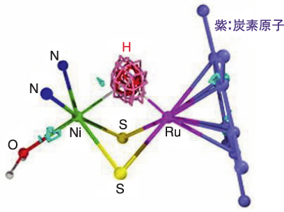 図4-6　中性子によって観察されたNi-Ru間の水素原子