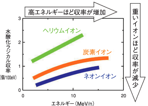 図4-8　イオンの質量やエネルギーに依存する水酸化ラジカル収率