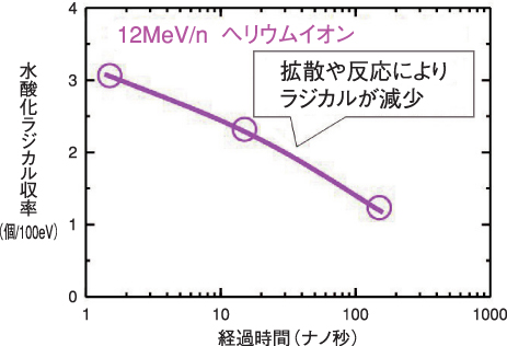 図4-9　ヘリウムイオン照射における水酸化ラジカル収率の経時変化