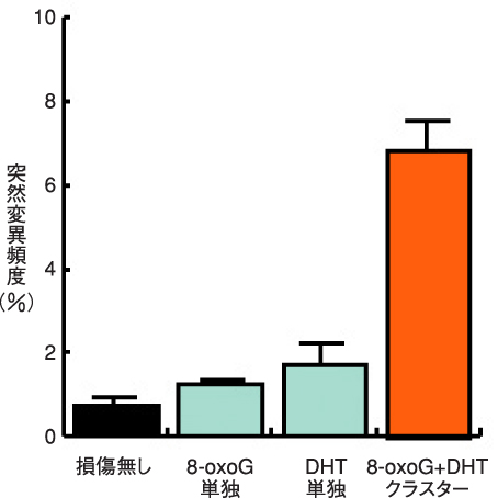 図6-11　クラスターDNA損傷による誘発突然変異頻度