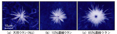 図7-12　濃縮度が異なるウラン粒子の FT（フィッショントラック）の顕微鏡写真