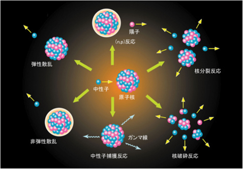 図7-3　原子核反応の種類