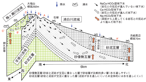 図5-19　調査対象地域の三次元的な地下水流動の概念図