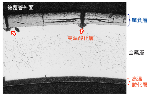 図5-5　高燃焼度被覆管の酸化試験後の断面写真