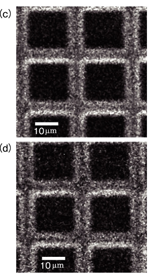 図14-24　1000lines/inの銅グリッドをマイクロビームでスキャン照射して得られた二次電子像