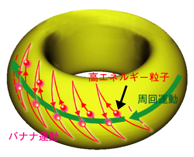 図3-19　高エネルギー粒子（高速イオン）の粒子軌道の概略図