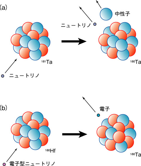 図4-12　180Taを生成するニュートリノ反応