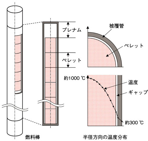 図6-4　軽水炉燃料棒の構造と燃料棒半径方向の温度分布