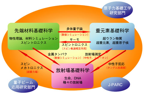図7-1　先端材料基礎科学，重元素基礎科学，放射場基礎科学の三分野とそれぞれの連携体制