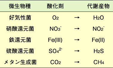 表2-1　主な微生物の種類と代謝反応