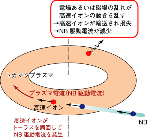 図3-16　トカマク装置における中性粒子ビーム（NB）電流駆動の原理と乱れによる高速イオンの輸送