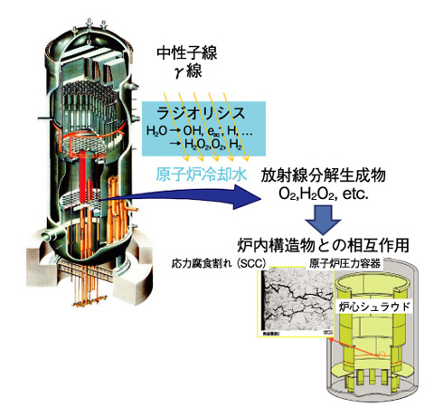 図5-6　原子炉内における水の放射線分解と腐食