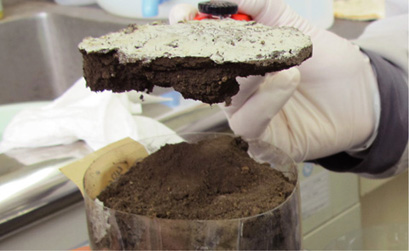 図7-3　ポリイオンを用いた土壌表面固化技術の開発
