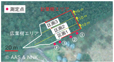 図1-13　森林の除染試験場所