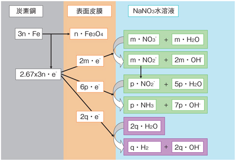 図3-7　炭素鋼の腐食に伴う硝酸イオンの化学的変遷過程の概念モデル