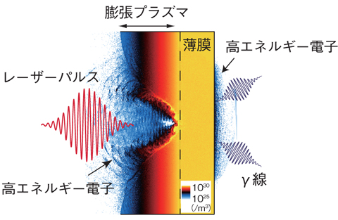 図5-5　炭素薄膜へ高強度レーザーを照射したときの電子密度分布を示すシミュレーション結果