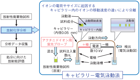 図10-4　キャピラリー電気泳動法による簡易分析法の開発